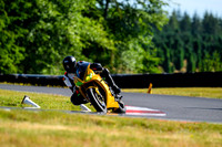 TRIUMPH_YELLOW