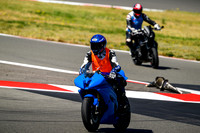 R6_BB_BLUE