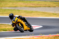 TRIUMPH_GOLD