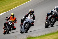 R1_PRIMER