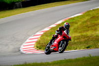 DUC_RED_DUC