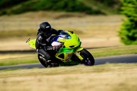 GSXR_GREEN