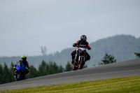FZ09_GREY
