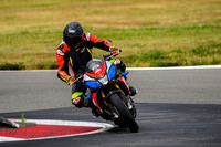 APRILIA_TUONO_RED