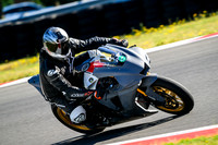 R1_PRIMER