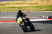 TRIUMPH_TRIP_WHITE