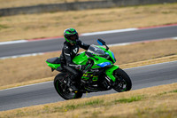 KAWI_GREEN_TURTLE