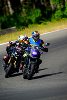 HONDA_PURPLE_TAPE