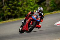 TRIUMPH_RED_TAPE