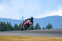 KAWI_MAROON