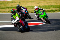 DUC_TRICOLORE