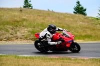 DUC_WINGS
