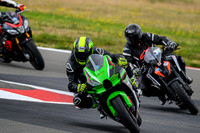 KAWI_GREEN_GREEN