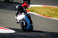 CBR_WHITE