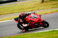 DUC_RED_RED