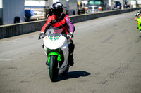 KAWI_WHITE