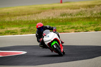 KAWI_29