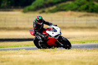 DUC_TRICOLORE