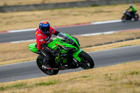 KAWI_GREEN_CLARKKENT