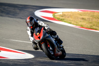 TRIUMPH_FANCY