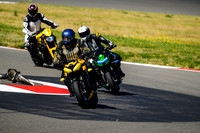 TRIUMPH_TRIP_YEL