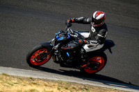 MT09