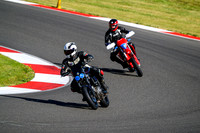 BUELL