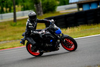 FZ09