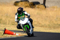 KAWI_WHITE_TRACK