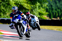 GSXR_BLUE_WHITE