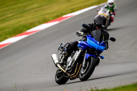 FZ1_BLUE