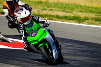 KAWI_GREEN_WHITE